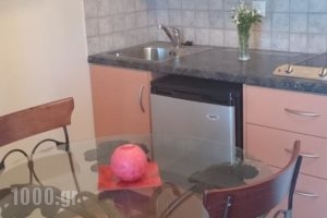 Antonia'S Apartments_best prices_in_Apartment_Central Greece_Evia_Amaranthos