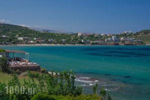 Plaka Studios_holidays_in_Hotel_Aegean Islands_Chios_Aghia Ermioni