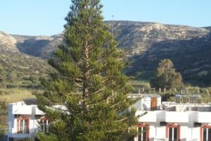 Apartments Xenophon_best deals_Apartment_Crete_Heraklion_Matala