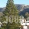 Apartments Xenophon_best deals_Apartment_Crete_Heraklion_Matala