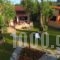 Anneta Studios_accommodation_in_Hotel_Ionian Islands_Lefkada_Sivota