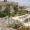 Milos Apartments_best deals_Apartment_Crete_Lasithi_Aghios Nikolaos