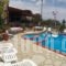 Milos Apartments_holidays_in_Apartment_Crete_Lasithi_Aghios Nikolaos