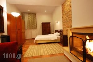 Hotel Parnassos_lowest prices_in_Hotel_Central Greece_Fokida_Delfi