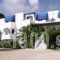 Vardes Hotel Studios_lowest prices_in_Hotel_Dodekanessos Islands_Karpathos_Karpathos Chora