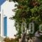 Kostas Teacher Apartment_travel_packages_in_Cyclades Islands_Antiparos_Antiparos Chora