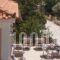 So Nice Hotel_best deals_Hotel_Aegean Islands_Samos_Samosst Areas