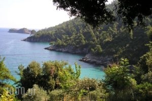 Golden Beach Inn_holidays_in_Hotel_Aegean Islands_Thasos_Limenaria