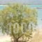 To Kyma_best deals_Hotel_Peloponesse_Lakonia_Elafonisos