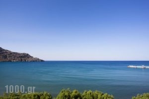 Hotel Livikon_travel_packages_in_Crete_Rethymnon_Plakias