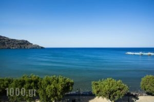 Hotel Livikon_lowest prices_in_Hotel_Crete_Rethymnon_Plakias