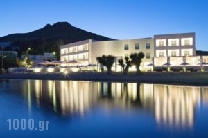 Patmos Aktis Suites & Spa_accommodation_in_Hotel_Dodekanessos Islands_Patmos_Patmos Chora