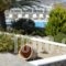 Casa Bianca_travel_packages_in_Cyclades Islands_Mykonos_Mykonos ora