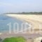 Terpsichore Apartments_best deals_Apartment_Thessaly_Magnesia_Pilio Area