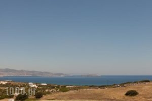 Ergina Summer Resort_best prices_in_Hotel_Cyclades Islands_Antiparos_Antiparos Chora