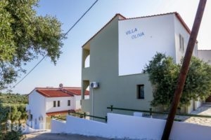 Villa Oliva_holidays_in_Villa_Macedonia_Kavala_Kavala City