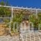 Villa Ntora_best deals_Villa_Dodekanessos Islands_Karpathos_Karpathos Chora