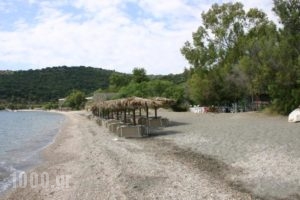 Porto Ageranos Apartment_accommodation_in_Apartment_Peloponesse_Lakonia_Xifias