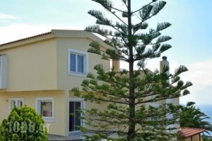 Chrisoveloni Apartment_lowest prices_in_Apartment_Sporades Islands_Alonnisos_Alonissos Chora