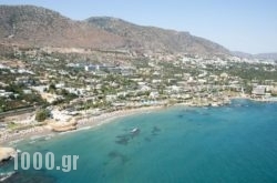Star Beach Village & Water Park in Paros Rest Areas, Paros, Cyclades Islands