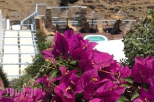 Ergina Studios_best prices_in_Hotel_Cyclades Islands_Ios_Ios Chora