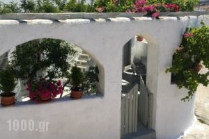 Odysseas Rooms & Studios_best prices_in_Room_Cyclades Islands_Paros_Paros Chora