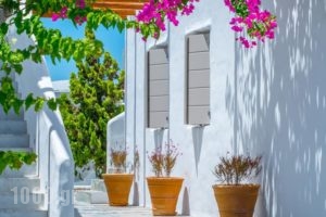 Delmar Apartments & Suites_best deals_Apartment_Cyclades Islands_Milos_Apollonia