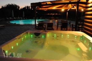 Tsokas Hotel_best deals_Hotel_Thessaly_Magnesia_Pilio Area