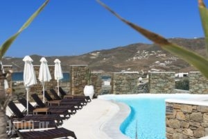 Ftelia Bay_lowest prices_in_Hotel_Cyclades Islands_Mykonos_Mykonos ora