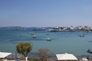 Sunday Hotel_best deals_Hotel_Cyclades Islands_Antiparos_Antiparos Chora