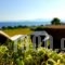 Bungalow White Luxury Apartments_holidays_in_Apartment_Macedonia_Halkidiki_Haniotis - Chaniotis