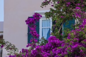 Minerva_best prices_in_Hotel_Cyclades Islands_Syros_Syros Chora