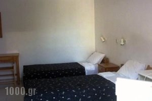 Diana Rooms_holidays_in_Room_Crete_Chania_Chania City