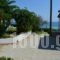 Beach Bungalows_best deals_Hotel_Ionian Islands_Zakinthos_Alykes