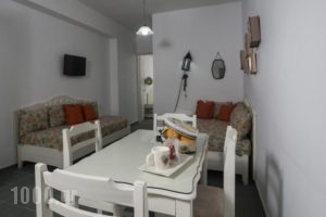 Anni Art Apartments_best prices_in_Apartment_Crete_Chania_Akrotiri