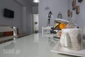 Anni Art Apartments_lowest prices_in_Apartment_Crete_Chania_Akrotiri