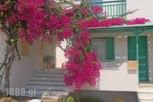 Panoramic View_best prices_in_Hotel_Cyclades Islands_Naxos_Naxos chora