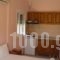 Studios Kyriaki_best deals_Hotel_Aegean Islands_Thasos_Thasos Chora