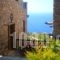 Althea Archontika Tis Androu_best deals_Hotel_Cyclades Islands_Andros_Andros City