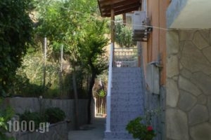 Studios Kyriaki_holidays_in_Hotel_Aegean Islands_Thasos_Thasos Chora