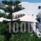 Damias Village_best deals_Hotel_Cyclades Islands_Paros_Paros Chora