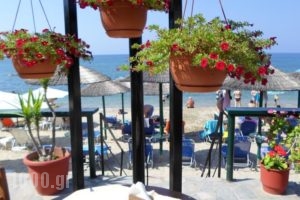 Piatsa Michalis_best prices_in_Hotel_Aegean Islands_Thasos_Potos