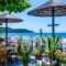 Piatsa Michalis_best deals_Hotel_Aegean Islands_Thasos_Potos