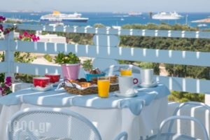 Pargaki Hotel_best deals_Hotel_Cyclades Islands_Paros_Paros Chora