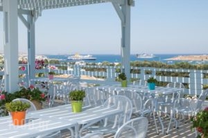 Pargaki Hotel_best prices_in_Hotel_Cyclades Islands_Paros_Paros Chora