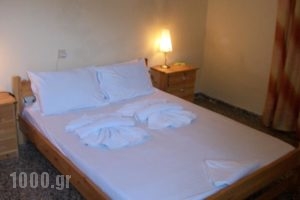 Rooms Apostolis_best deals_Room_Sporades Islands_Alonnisos_Patitiri