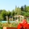 Simatos Apartments & Studios_lowest prices_in_Apartment_Ionian Islands_Kefalonia_Kefalonia'st Areas