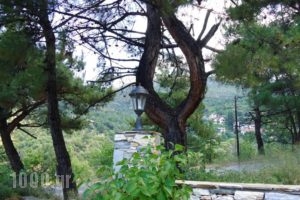 Menir Luxury Apartments_best deals_Apartment_Aegean Islands_Thasos_Thasos Chora