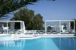 Semeli Hotel in Mykonos Chora, Mykonos, Cyclades Islands