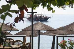 Piatsa Michalis_travel_packages_in_Aegean Islands_Thasos_Potos